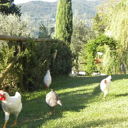 Villa Silvia Appartaments *